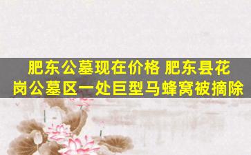 肥东公墓现在价格 肥东县花岗公墓区一处巨型马蜂窝被摘除